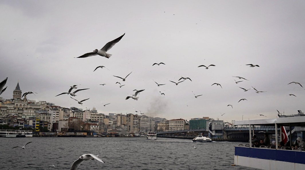Hasret Balta Martı Eşliğinde Boğaz İstanbul Fotoğrafı
